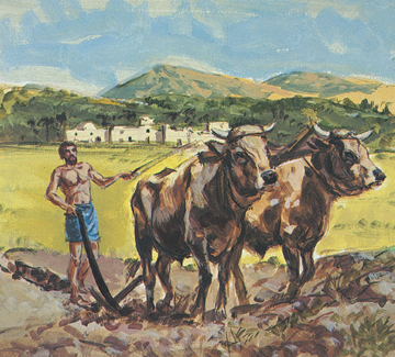 man plowing field