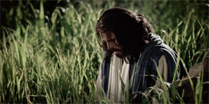 The Savior Suffers in Gethsemane