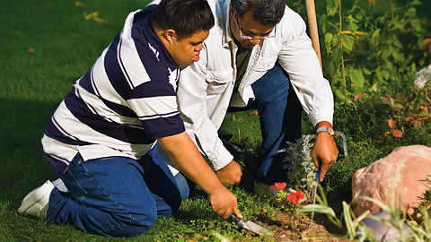 dos personas trabajando juntas en un jardín