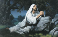 耶穌基督在客西馬尼園裡祈禱