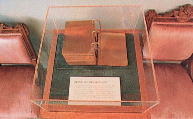 Model of the gold plates
