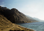 where the Wadi Tayyib al-Ism meets the Red Sea