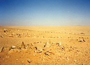 sandy waste in the desert