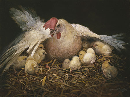 hen and chicks in nest