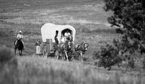Image result for Covered Wagon Pioneers