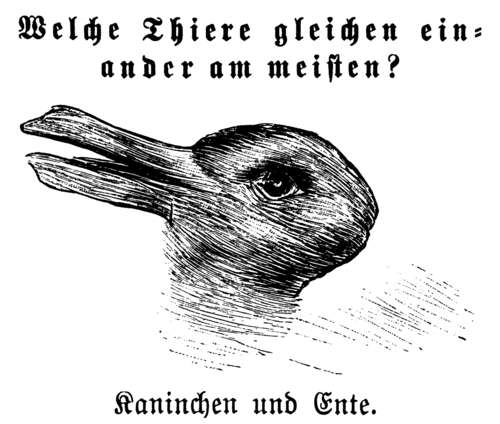 rabbit-duck illusion