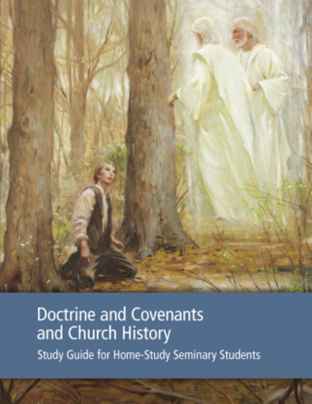 Doctrină și legăminte și istoria Bisericii – Îndrumar pentru cursanții de la seminar care studiază acasă